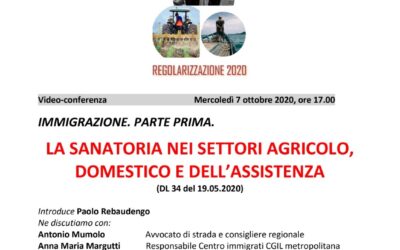 Sanatoria nel settore dell’agricoltura, lavoro domestico e cura alla persona